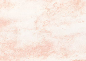 Fond rose