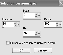Sélection personnalisée