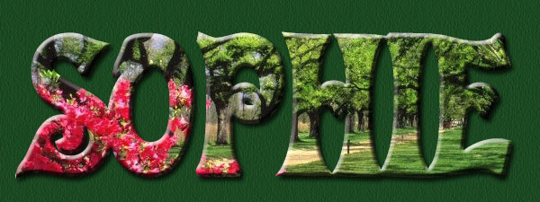 Sophie