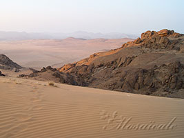 Signature filiggranne