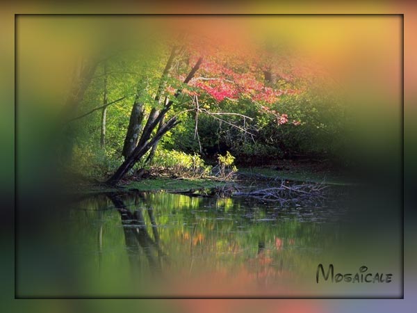 Sélection progressive