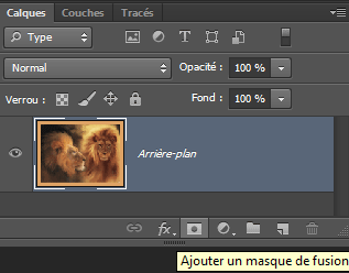 Masque de fusion