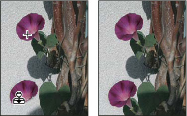 Tampon de duplication