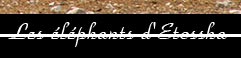 éléphants