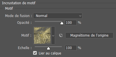 Incrustation de motif