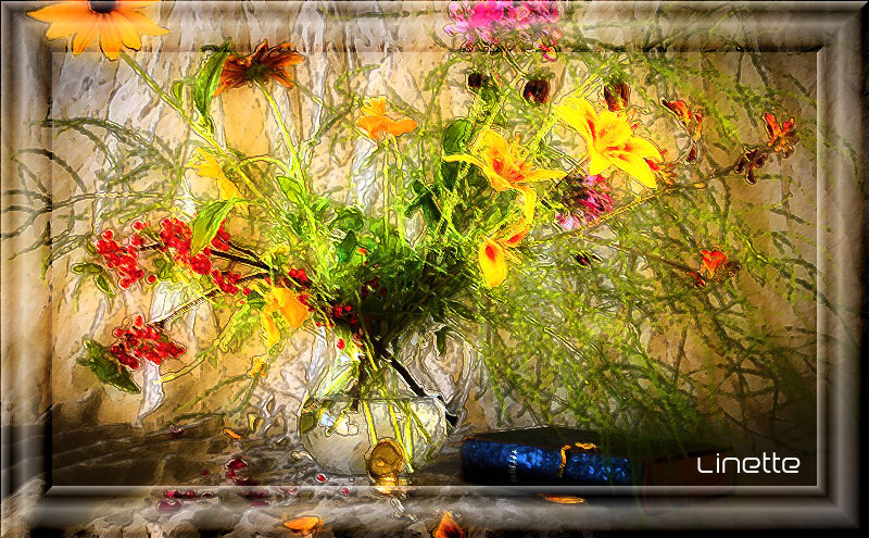 Contours encrés par Linette